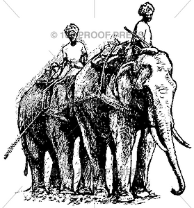 4245 2 Elephants with Riders