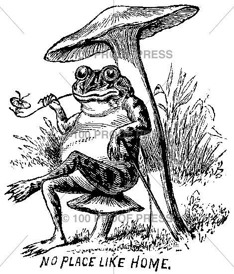 4352 No Place Like Home Frog