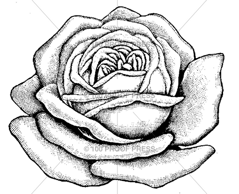 4448 Large Rose Blossom