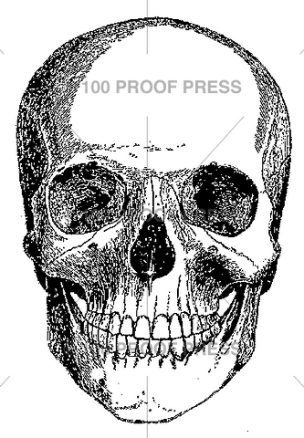 4537 Skull