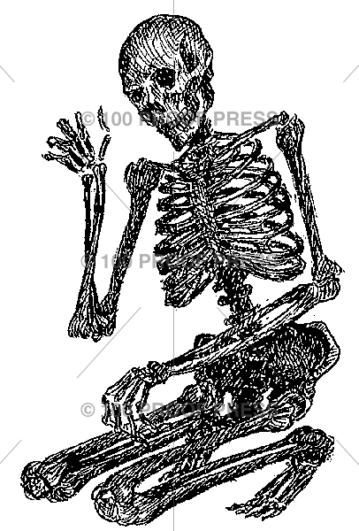 4552 Kneeling Skeleton