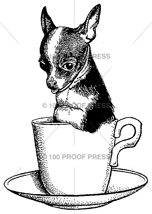 4579 Chihuahua Teacup