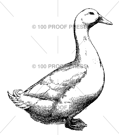 4591 Peking Duck