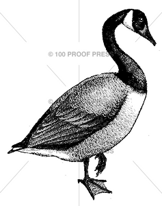4592 Canada Goose