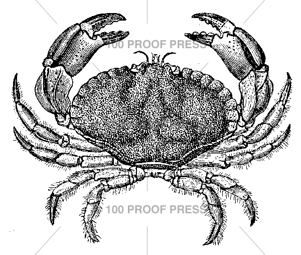 4606 Blue Crab