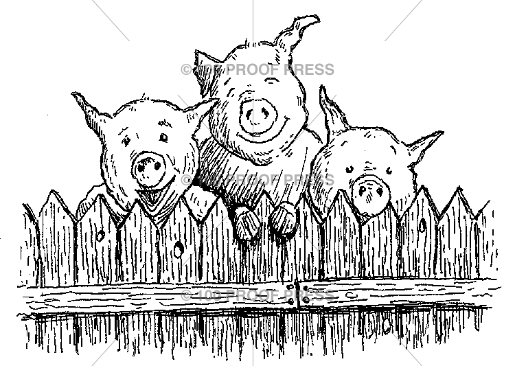 4616 Three Pigs Behind Fence