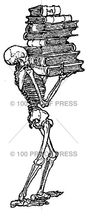 4753 Skeleton Librarian