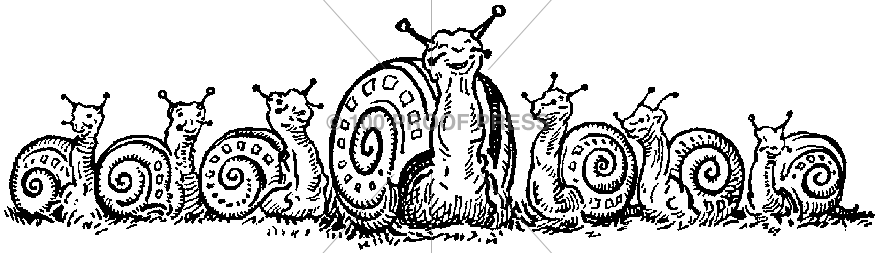 4800 Happy Snail Family