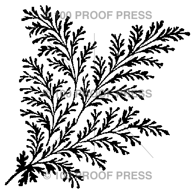 4840 Dense Fern Sprig