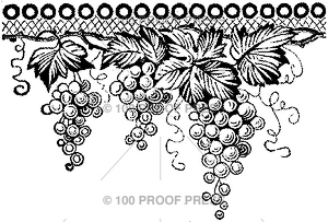 4844 Grape Vine Border