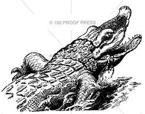 4864 Corner Crocodile
