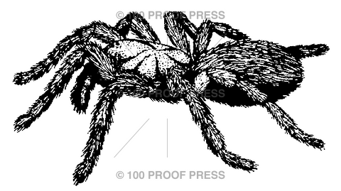 4898 Tarantula