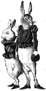 5017 Handsome Hares