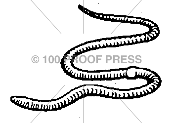 5270 Earthworm