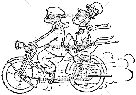 5331 Two Cats on Bike