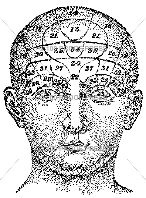5363 Diagrammed Head