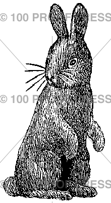 5398 Small Bunny