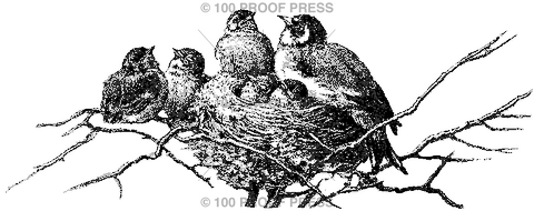 5503 Bird Family in Nest