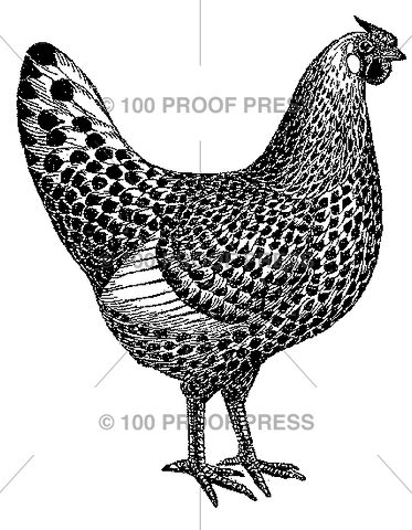 5507 The Hen