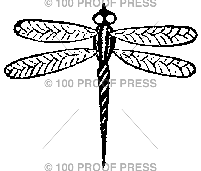 5570 Larger Dragonfly