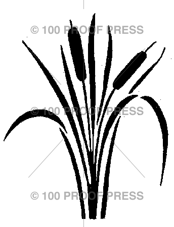 5592 Sm. 2 Cattail Reed