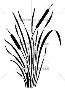 5597 Large 2 Cattail Reeds