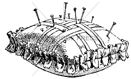 5624 Pincushion