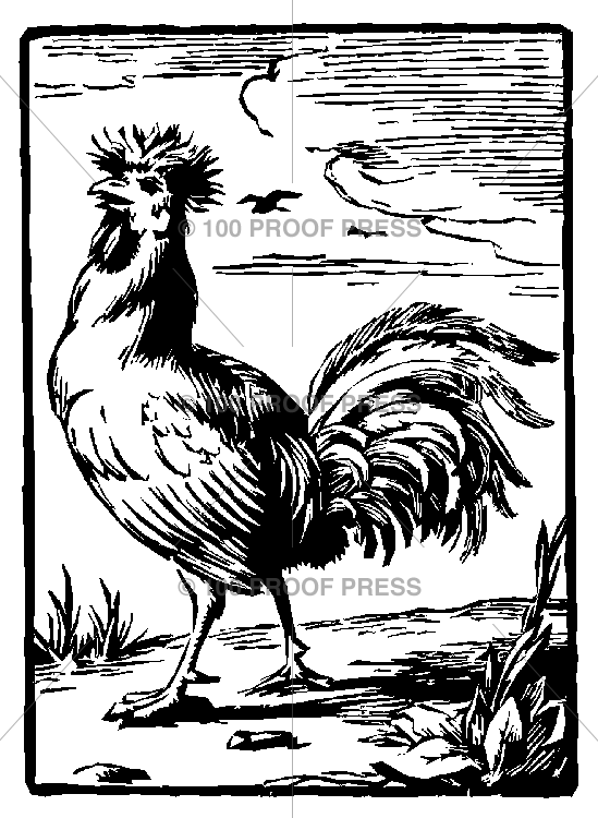 5656 Stylized Rooster Square