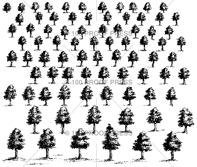 5706 Repeatable Trees
