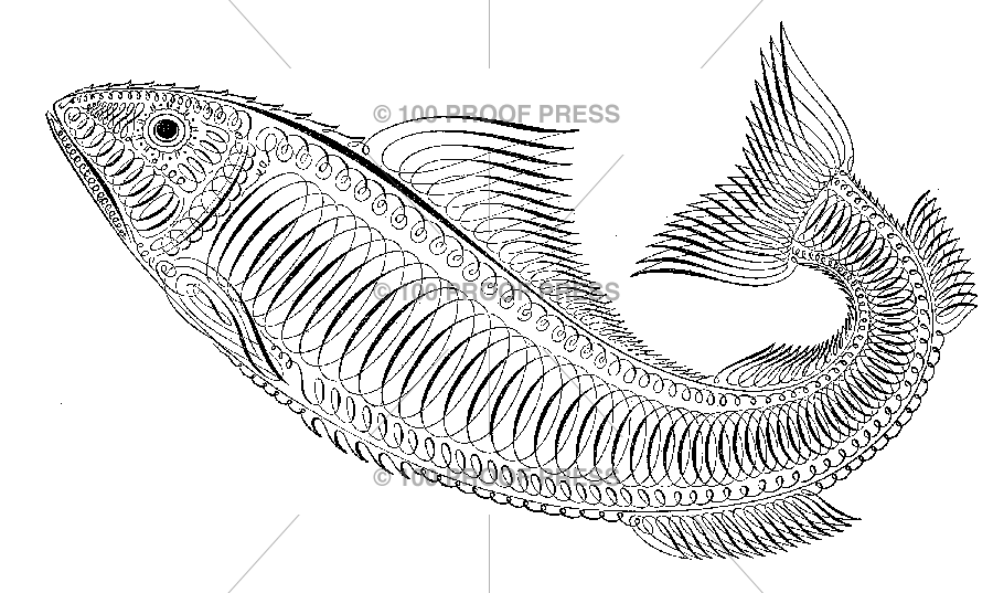 5727 Calligraphy Fish