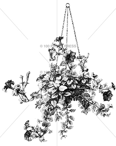 5754 Hanging Petunia Pot