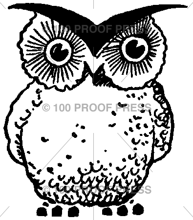 5822 Sharp Owl
