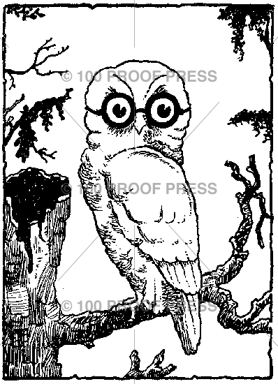 5824 Squared Owl