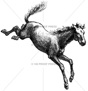 5825 Bucking Horse