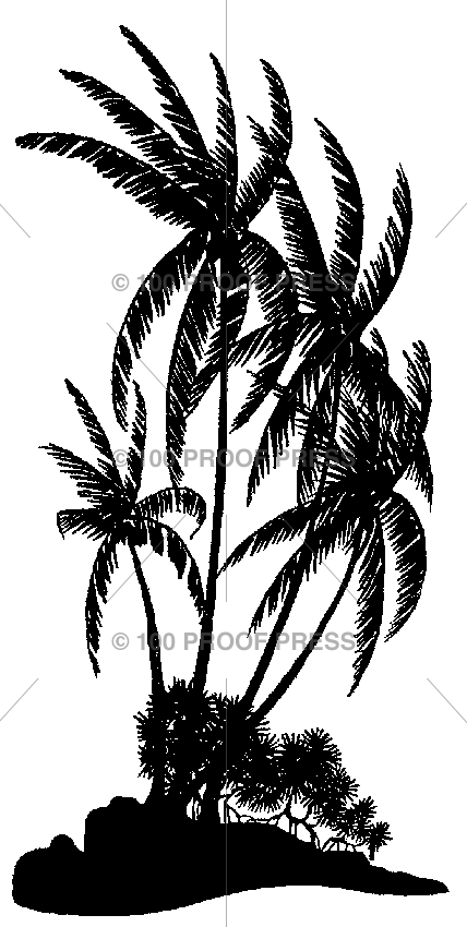 5843 Palm Tree-ed Island