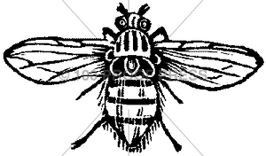 5869 Animated Bee