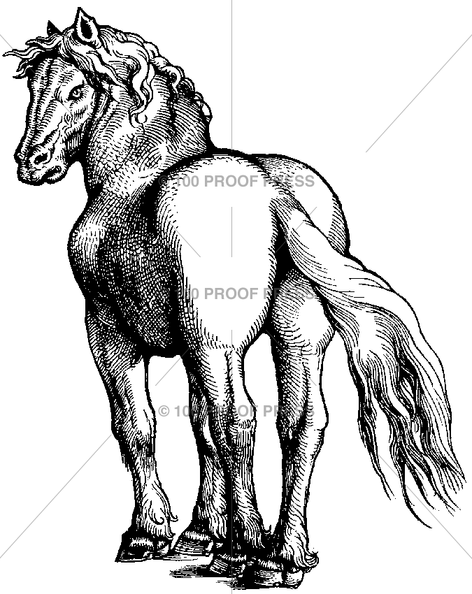 5899 Sturdy Horse