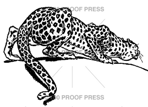 6150 Leopard Hunting