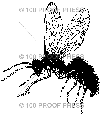 6259 Wasp Traveling West