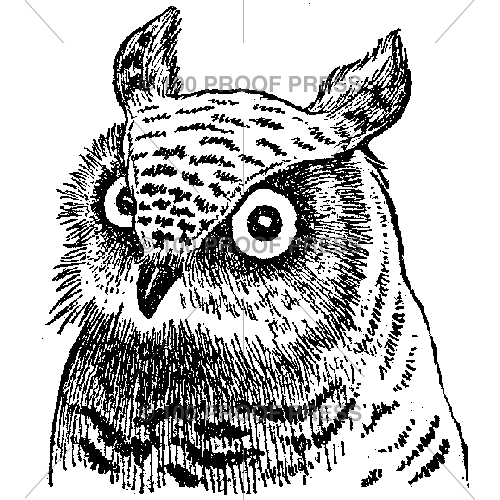 6266 Owl Face