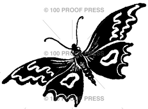 6275 Graphic Butterfly 1