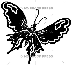 6278 Graphic Butterfly 4