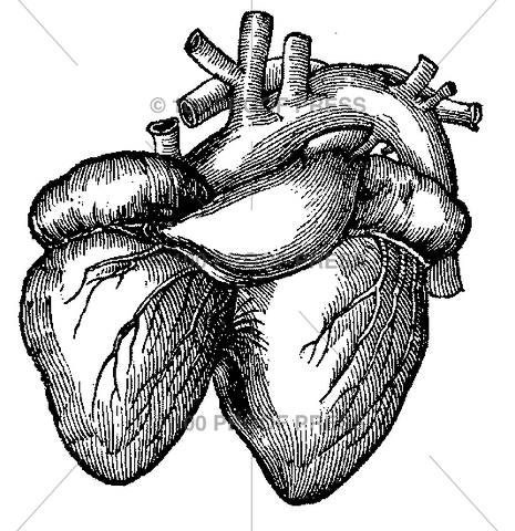 6324 Heart of Dugong