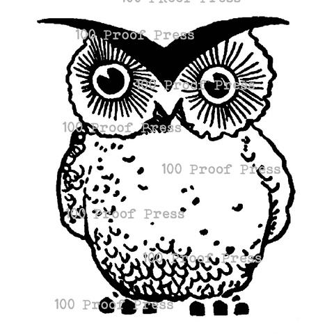 6455 Sharp Owl Large