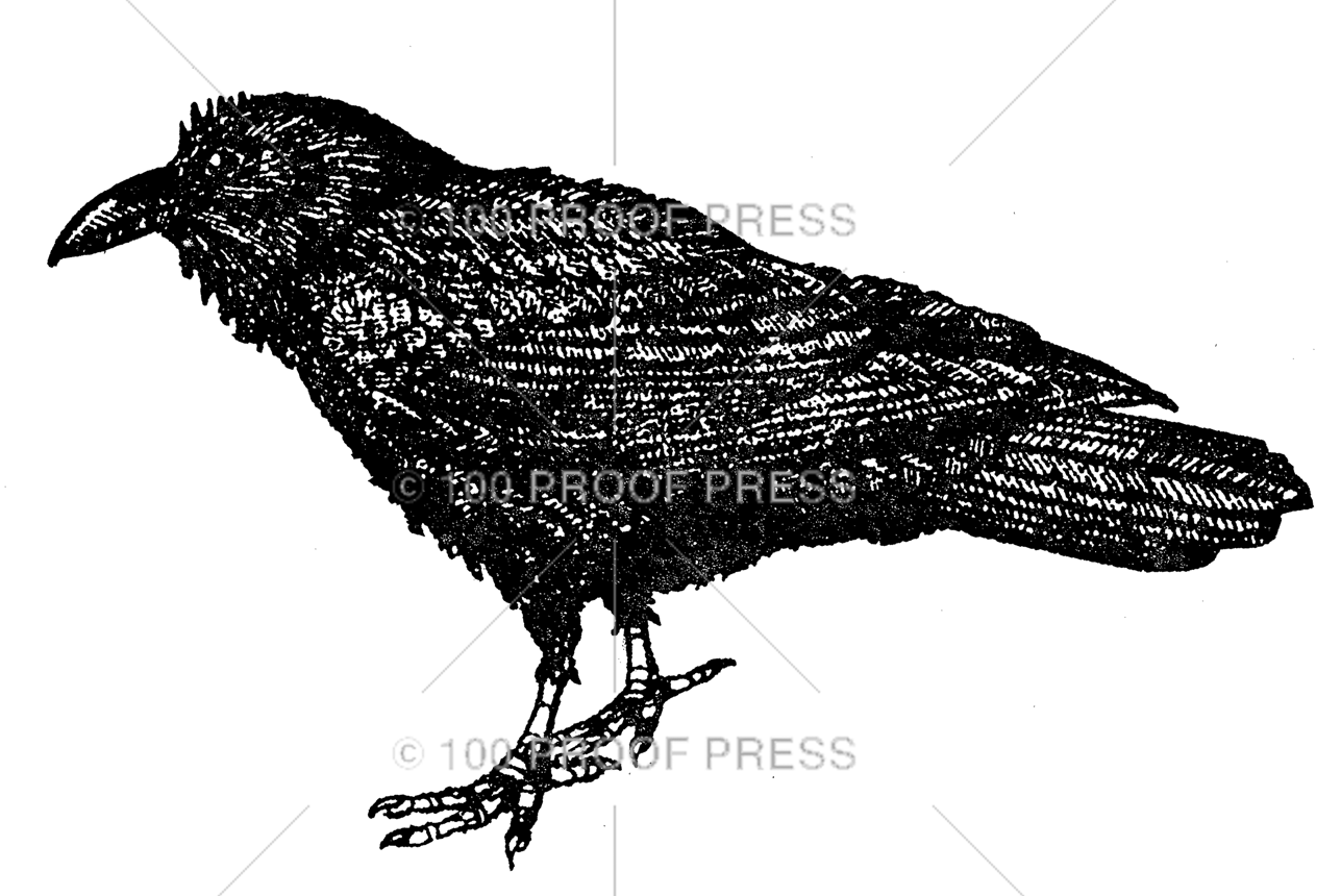 6484 Large Raven