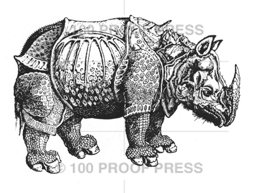 6627Durer's Rhino