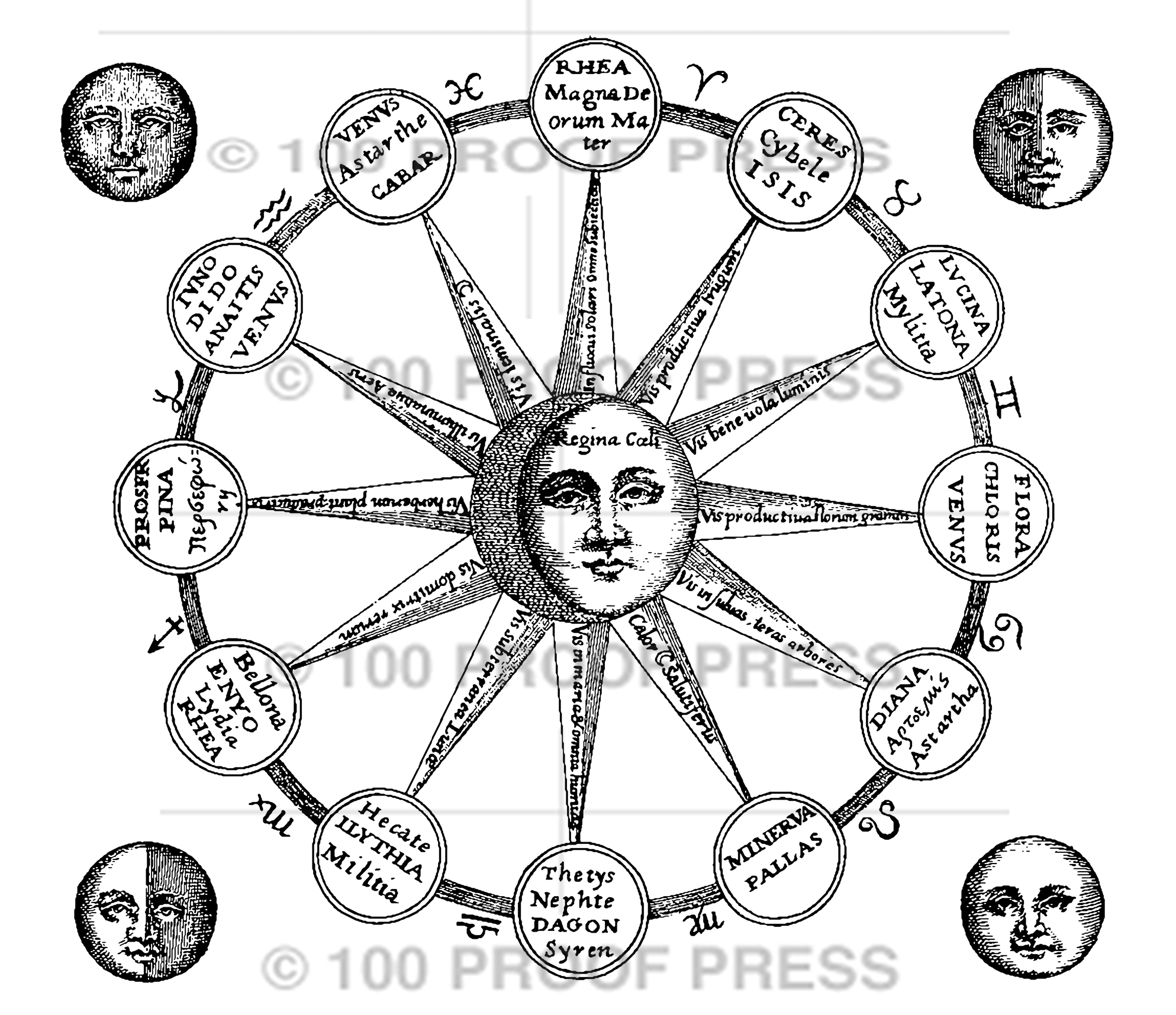 6649 Large Sun and Moon Chart