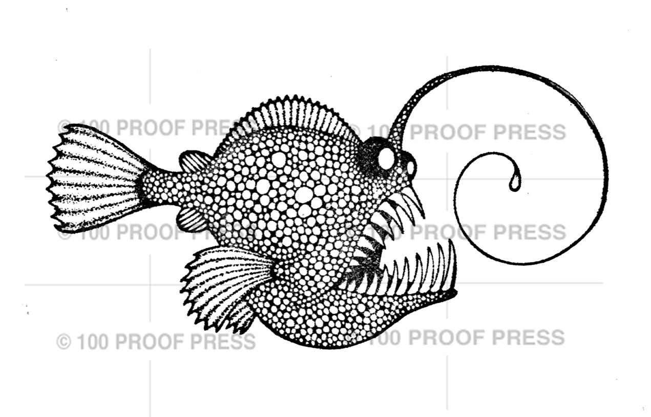 6775 Angler Fish