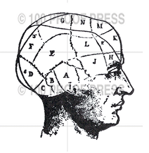 6684 Small Diagramed Head