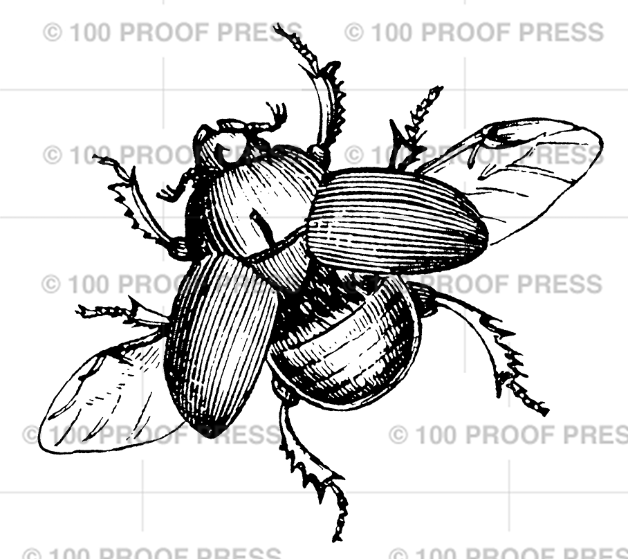 6691 Scarb Beetle, Large